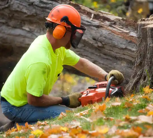 tree services Newport